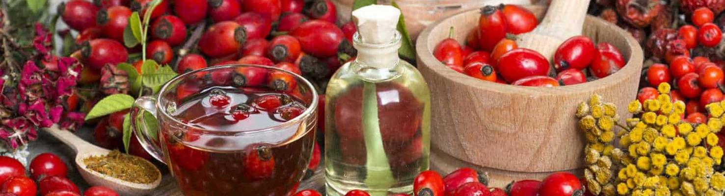 Экстракты шиповника
