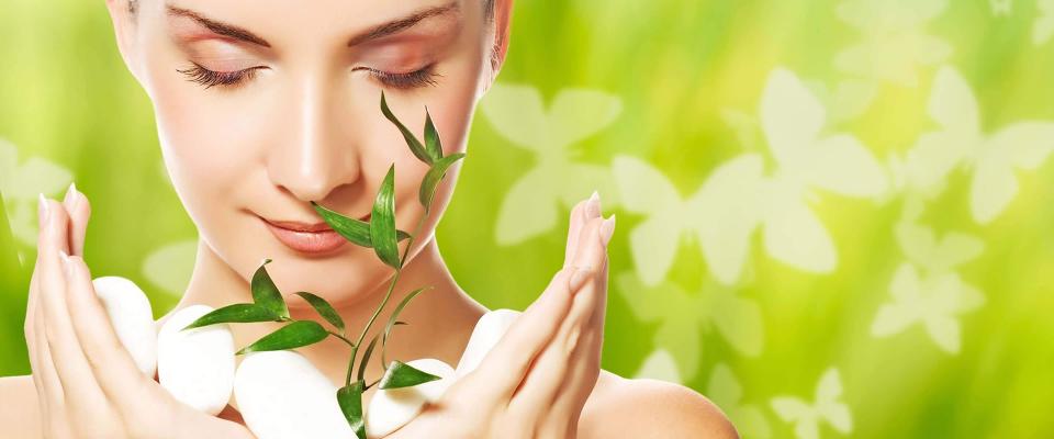 Компания ЗЭФ компания является лидером в производстве экстрактов растений