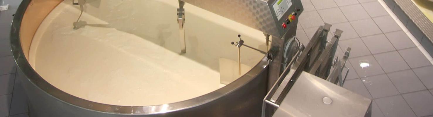 Состав и сычужная свертываемость молока различных пород коров